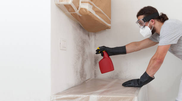 Professional Commercial Mold Remediation technician working in Reston, VA