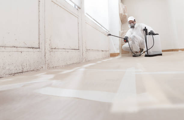24/7 Emergency Commercial Mold Remediation experts in Reston, VA